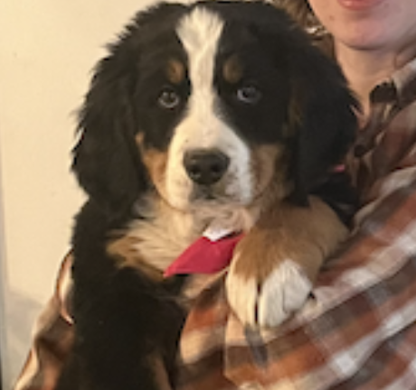 Buttercup became Cuppy and lives in Utah​